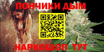сатива Гагарин