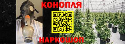 сатива Гагарин
