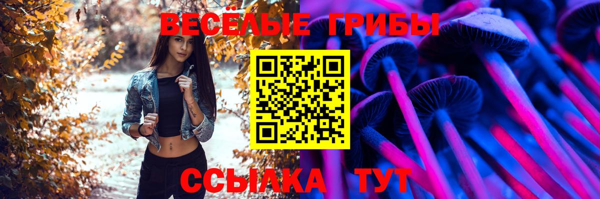 купить наркотик  Вход с VPN  Губкинский  Галлюциногенные грибы мицелий  Псилоцибиновые грибы мухоморы 